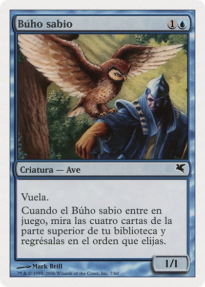 Sage Owl Spanish Buho sabio