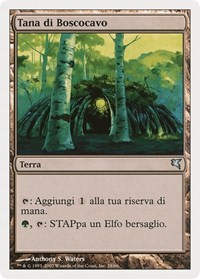 Wirewood Lodge (Italian) - "Tana di Boscocavo"