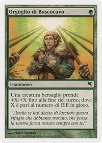 Wirewood Pride (Italian) - "Orgoglio di Boscocavo"