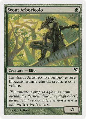 Treetop Scout (Italian) - "Scout Arboricolo"
