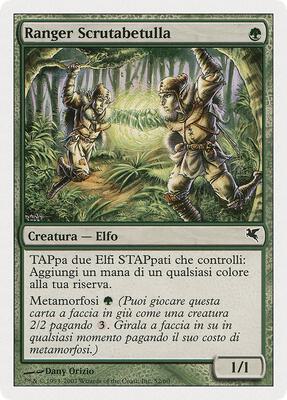 Birchlore Rangers (Italian) - "Ranger Scrutabetulla"