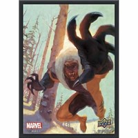 Upper Deck Card Sleeves Upper Deck Marvel Card Sleeves - Standard Matte - Sabretooth (65-Pack)