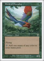 サイン入りアートプリント　極楽鳥　Birds of Paradise MTG サイン入りアートプリント 極楽鳥 Birds of Paradise MTG ミントモール