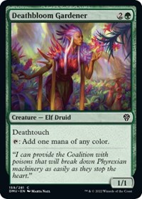 FNM