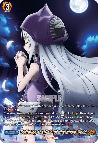 Suffering the Pain of the Whole World (SKR)