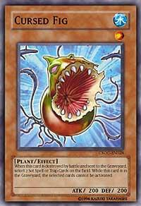 Cursed Fig