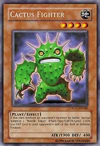 Cactus Fighter
