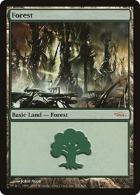 Forest (2004)