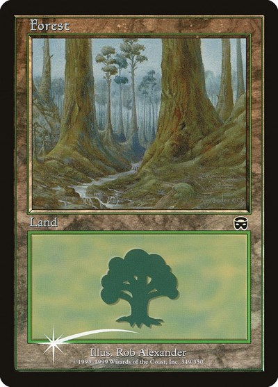 Forest 2000
