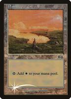 平地 Plains アリーナArena Foil 英語 3枚 MTG Plains (1999) - Arena Promos - Magic: The Gathering - TCGplayer.com