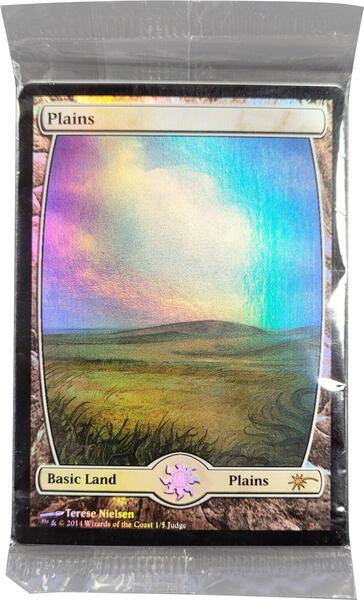 Judge Promo Pack - 2014 Full Art Land Set - Judge Promos - Magic: The  Gathering - TCGplayer.com
