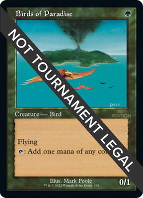 Birds of Paradise