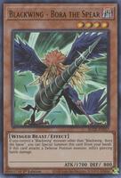 Blackwing - Vayu the Emblem of Honor (Platinum Secret Rare