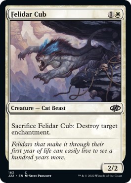 Felidar Cub from J22 #183, Magic: The Gathering card