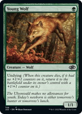 Young Wolf from J22 #746, Magic: The Gathering card