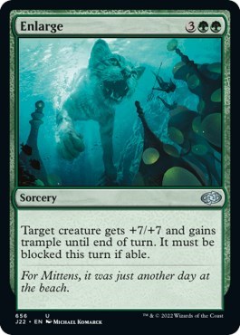 Enlarge from J22 #656, Magic: The Gathering card