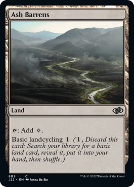 Ash Barrens from J22 #809, Magic: The Gathering card