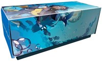 Pokemon Center Japan Exclusive: Nessa Shiny Star V Set Box · Pokemon International Deck Boxes