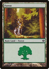 Forest (43) - Duel Decks: Knights vs. Dragons - Magic: The Gathering card