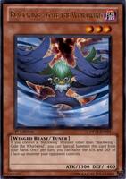 Cartes Yu-Gi-Oh Duelist Pack 11 Crow (DP11) à L'unité