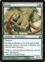 cards like brawn mtg Magic The Gathering - (159/249) cards like brawn mtg Similar