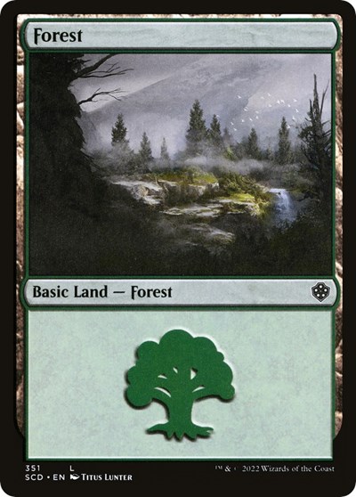Forest (351)