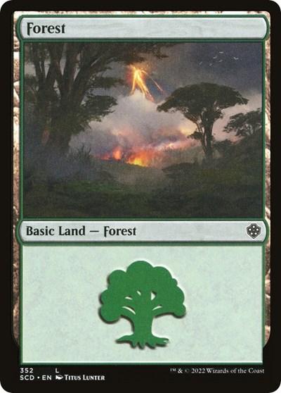 Forest (352)