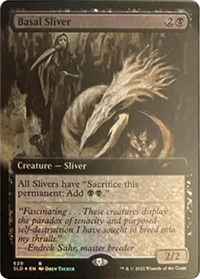 Basal Sliver Extended Art