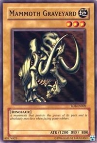Mammoth Graveyard
