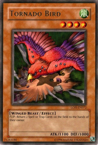 Tornado Bird