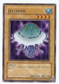 Jellyfish