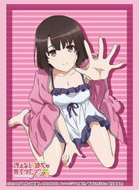 Bushiroad Sleeve Collection HG Vol.3399: Saekano: How to Raise a Boring Girlfrie · Bushiroad Card Sleeves
