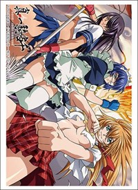 Bushiroad Sleeve Collection HG Vol.3436: Ikkitousen - Sonsaku, Ryomou, Kan-u (75 · Bushiroad Card Sleeves