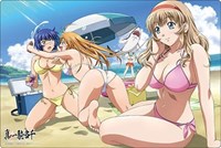 Bushiroad Rubber Mat Collection V2 Vol.560: Ikkitousen - Sonsaku, Ryomou, Sonken · Bushiroad Playmats