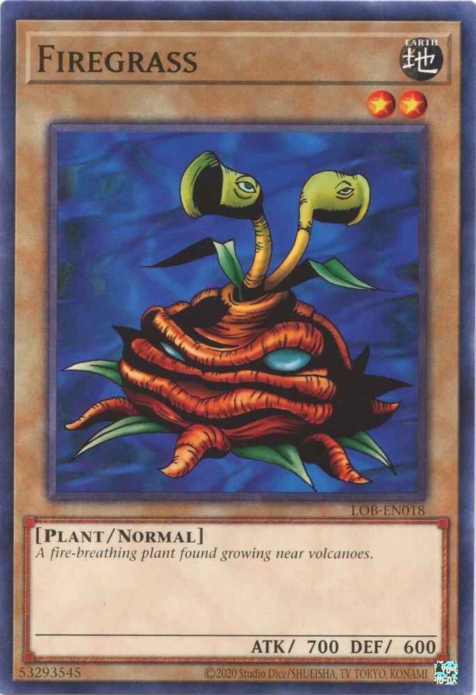 火炎草 PSA10 遊戯王 初期 Vol.1 Firegrass 火炎草 PSA10 遊戯王 初期