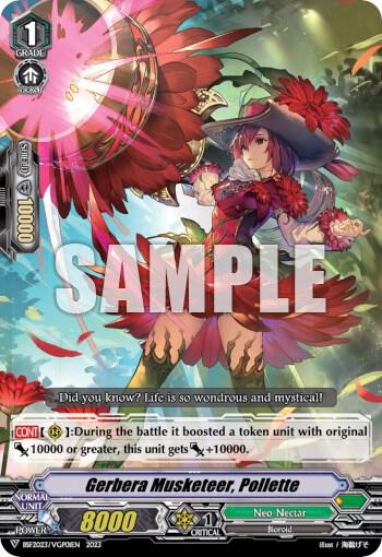 Gerbera Musketeer, Pollette