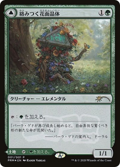 Tangled Florahedron JP Magazine Insert