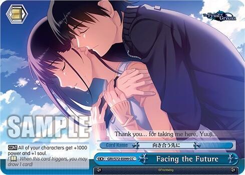 Facing the Future