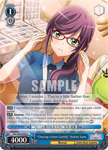 "Choosing a Frame Carefully" Hoshimi Junna