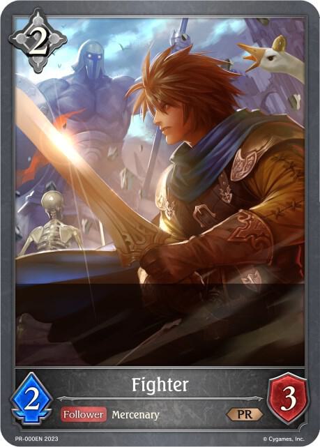 Fighter