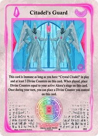 Citadel's Guard