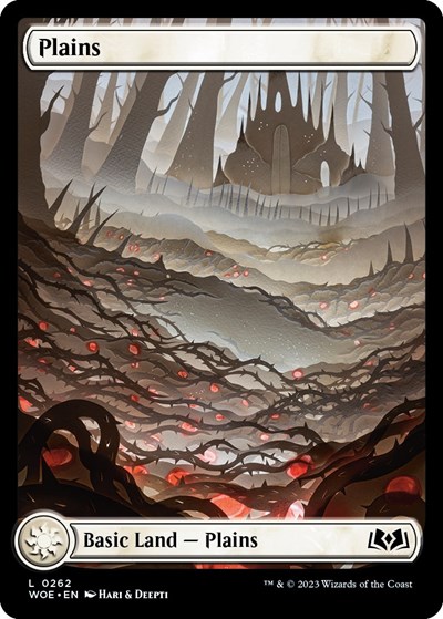 Plains 0262