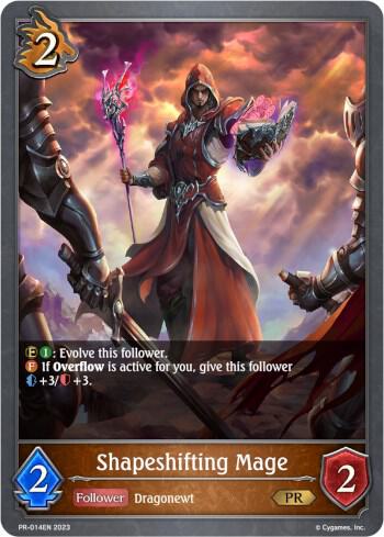 Shapeshifting Mage