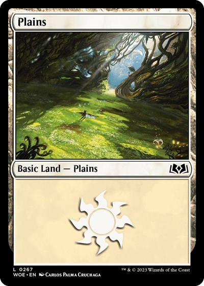 Plains 0267