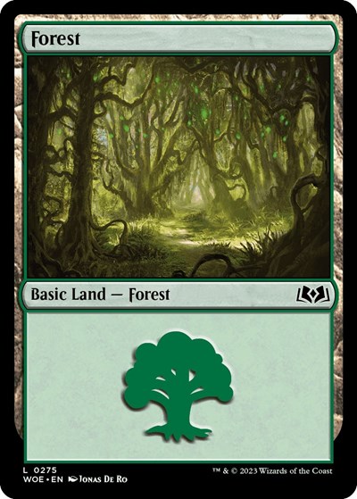 Forest 0275