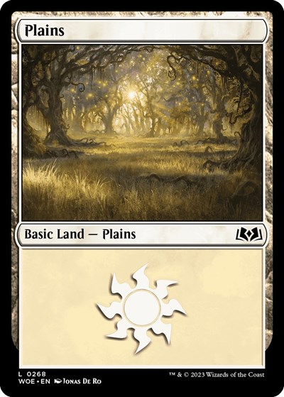 Plains 0268