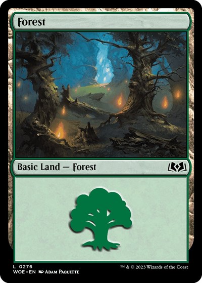 Forest 0276