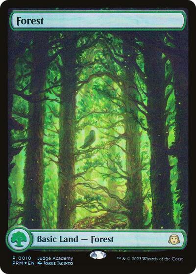 Forest Full Art 0010