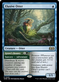 Elusive Otter