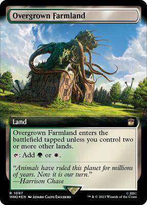 Overgrown Farmland